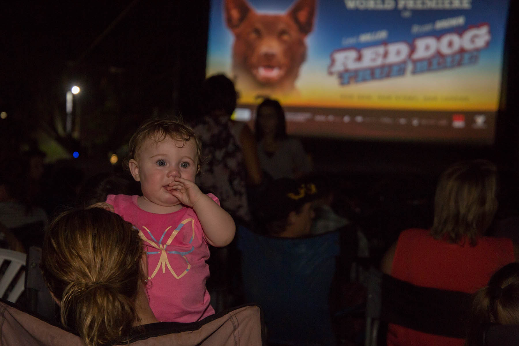 Red Dog: True Blue World Premier 2016
